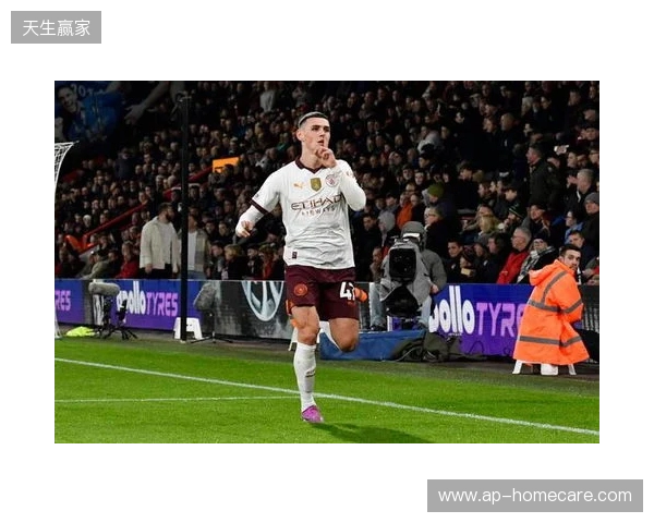 英超第15轮最佳球员候选:谢尔基、B费、福登、西蒙斯在列